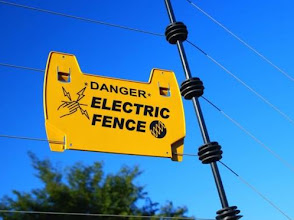 Electric fence installation